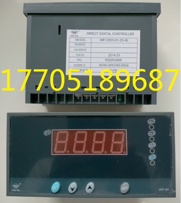 上润仪表WP-D923-022-2323-HLHL/WP-D823-022-2323-HHLL正品