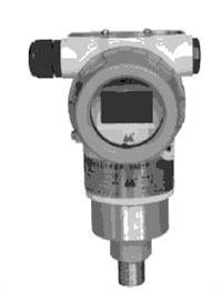 WT3000TG压力变送器